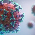 Immunology